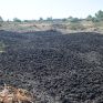 Πιλοτικό πρόγραμμα βιοαερίου από λυματολάσπη στους Νομούς Κοζάνης &amp; Φλώρινας