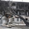 Βουλή: Επωμίζεται το 50% του κόστους αποκατάστασης της ηλεκτροδότησης στο Λύρειο Ίδρυμα