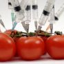 Ρωσία: Απαγορεύτηκε η εισαγωγή μη ελεγμένων μεταλλαγμένων προϊόντων
