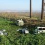 Βοιωτία: Στα χέρια της ΕΛΑΣ η σπείρα που ρήμαζε μετασχηματιστές του ΔΕΔΔΗΕ