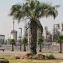 Πληρώνει 2,2 δισ. ευρώ στη Shell για τον πλήρη έλεγχο της Motiva στις ΗΠΑ