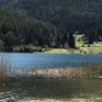 διαΝΕΟσις: Η αξιοποίηση των περιοχών Natura θα μπορούσε να δημιουργήσει 15.000 θέσεις εργασίας
