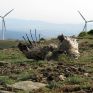 Περιοχές προτεραιότητας ανά τεχνολογία προβλέπει ο νέος χωροταξικός σχεδιασμός για τις ΑΠΕ στην Κύπρο – Σε διαβούλευση η ΣΜΠΕ