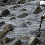 «Καμπανάκι» WWF για τα ναυτικά ατυχήματα (και) στη Μεσόγειο