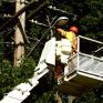 ΠΟΕ-ΟΤΑ: Μεθοδεύουν την ιδιωτικοποίηση των υπηρεσιών ηλεκτροφωτισμού ΔΕΔΔΗΕ  ΚΕΔΕ