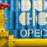 Ανησυχία του OPEC για την προτεινόμενη απαγόρευση του ρωσικού πετρελαίου από την ΕΕ