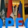 Πετρέλαιο: Ο ΟΠΕΚ φοβάται κατάρρευση της αγοράς και εξετάζει τα επόμενα βήματα