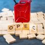 OPEC: Διατηρεί αμετάβλητες τις εκτιμήσεις για τη ζήτηση το 2021