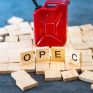 Ο OPEC πρόκειται να αυξήσει την παραγωγή πετρελαίου
