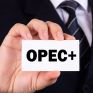 Ο OPEC+ "βλέπει" μείωση του πλεονάσματος πετρελαίου το πρώτο τρίμηνο του 2022