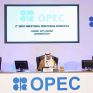 Η προσφορά πετρελαίου του OPEC θα πέσει κατά 400.000 bpd τον Ιανουάριο
