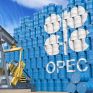 Πηγές Reuters: Τι προτάσεις εξετάζει ο OPEC+