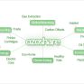 Ozoshare: Το "πράσινο" μέσο δικτύωσης