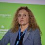 Αλεξανδράτου (WRE): Πίσω από τις τοπικές αντιδράσεις για τις ΑΠΕ υπάρχει μόνο πολιτικός εκβιασμός και εργαλειοποίηση