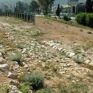 Κέντρο Περιβαλλοντικής Εκπαίδευσης δημιουργεί ο Δήμος Καισαριανής