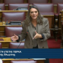 Π. Πέρκα: Εμβληματικές επενδύσεις στην Ελλάδα σημαίνει “Μπίζνες μόνο με το Μαξίμου"