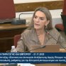 Π. Πέρκα: «Η κυβέρνηση αφήνει την αγορά ανεξέλεγκτη, τους καταναλωτές απροστάτευτους  και εμπλέκει τη χώρα σε γεωπολιτικούς ανταγωνισμούς»