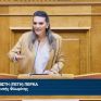 Πέρκα: Επανάληψη ευχών και γενικών αναφορών στις προγραμματικές δηλώσεις της κυβέρνησης για τον τομέα Περιβάλλοντος και Ενέργειας