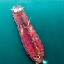 Ποιοί είναι οι μεγάλοι «κερδισμένοι» από την κρίση στον Περσικό;