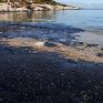 Ευρωπαϊκή συνδρομή για την απορρύπανση του Σαρωνικού