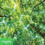 Schneider Electric: Στην 1η θέση της λίστας Gartner® Top 25 Supply Chain για τρίτη συνεχόμενη χρονιά
