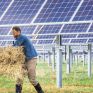 Επιπλέον έσοδα για τους παραγωγούς με τα αγροτικά φωτοβολταϊκά