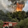 Μυτιλήνη: Πυρκαγιά κοντά σε εργοστάσιο της ΔΕΗ
