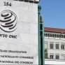 ΠΟΕ: Ένας ολοκληρωτικός εμπορικός πόλεμος θα έπληττε την ανάπτυξη και δεν θα υπήρχαν νικητές