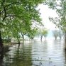 Το περιβαλλοντικό βραβείο Natura 2000 εγκαινίασε η Κομισιόν