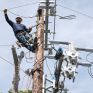 Προσδοκίες για τίμημα πάνω από… 1,7 δισ. στο διαγωνισμό του ΔΕΔΔΗΕ - Τα τρία funds που θεωρούνται «σίγουρα»