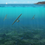 Powerkite: Ηλεκτρική ενέργεια από την παλίρροια