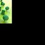 3.9 εκατ. ευρώ απέδωσε το ΥΠΕΝ στο Πράσινο Ταμείο