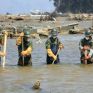 «Μη βρώσιμα για 10 χρόνια» τα ψάρια της Φουκουσίμα 