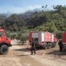 Πυρκαγιά σε αγροτοδασική έκταση στη Μεσσηνία