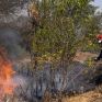 Πορτοκαλί συναγερμός για εκδήλωση πυρκαγιάς σε έξι περιφέρειες της χώρας