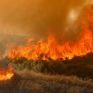 Δεν φταίει η κλιματική αλλαγή για την τραγωδία κ. Τσίπρα