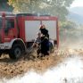«Καμπανάκι» από WWF για τη δασοπροστασία
