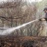 Υπό έλεγχο η πυρκαγιά στη Νεμέα Κορινθίας