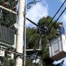 Εισαγγελική παρέμβαση για τις πολυήμερες διακοπές ηλεκτρικού ρεύματος