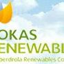 Rokas Renewables: Ο πρωτοπόρος των αιολικών και πάλι στην αφετηρία