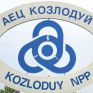 Η Rosatom κέρδισε τον διαγωνισμό εκσυγχρονισμού του Π.Σ.Κοζλοντούι