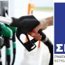 Επανεξελέγη το ΔΣ του ΣΕΕΠΕ με θητεία έως τον Ιανουάριο του 2021 - Πρόεδρος ο Γιάννης Αληγιζάκης