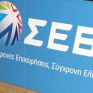 Χρ. Λιάγγου - ΣΕΒ: Μονόδρομος οι μεταρρυθμίσεις και οι αποκρατικοποιήσεις 