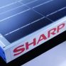 Καθαρές ζημιές, ύψους 2,37 δισ. δολ., για τη Sharp