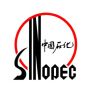 Sinopec: "Βόμβα" στα σχέδια εξαγοράς της YPF