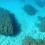 7ο “Our Ocean Youth Leadership”: Σύνοδος νέων αφιερωμένη στην περιβαλλοντική εκπαίδευση και στην καινοτομία