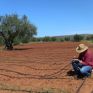 Δ. Μακεδονία: Ζητά επανεκτίμηση του χρόνου διακοπής αγροτικού τιμολογίου της ΔΕΗ