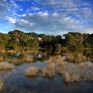 Κρίσιμη απόφαση για τα αιολικά σε περιοχές Natura