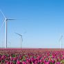 WindEurope: Η εγχώρια ηλεκτρική ενέργεια στο επίκεντρο της ευρωπαϊκής στρατηγικής ασφάλειας