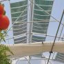 ICEFPE22: Διεθνές συνέδριο για την πράσινη εκτυπωμένη ενέργεια και τα αγροβολταϊκά